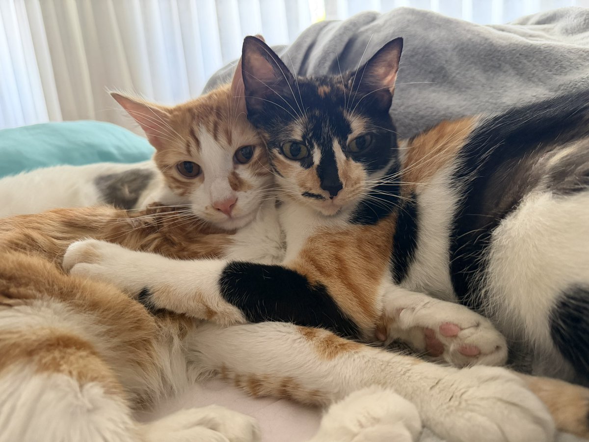 La vara del amor me la enseñan ellos: