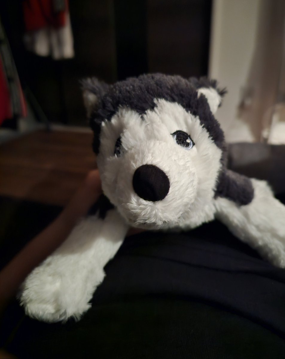 すいせい tweet media