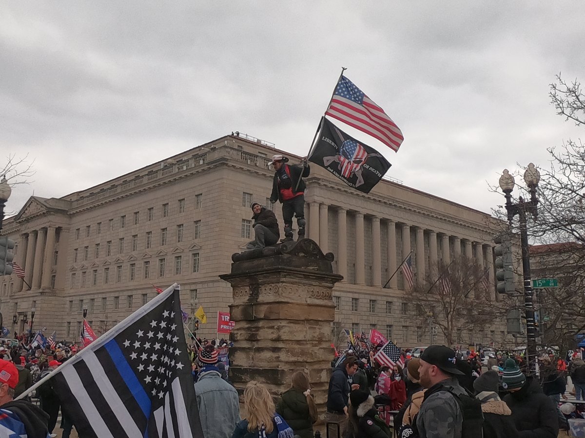 Lion Cub Father tweet media