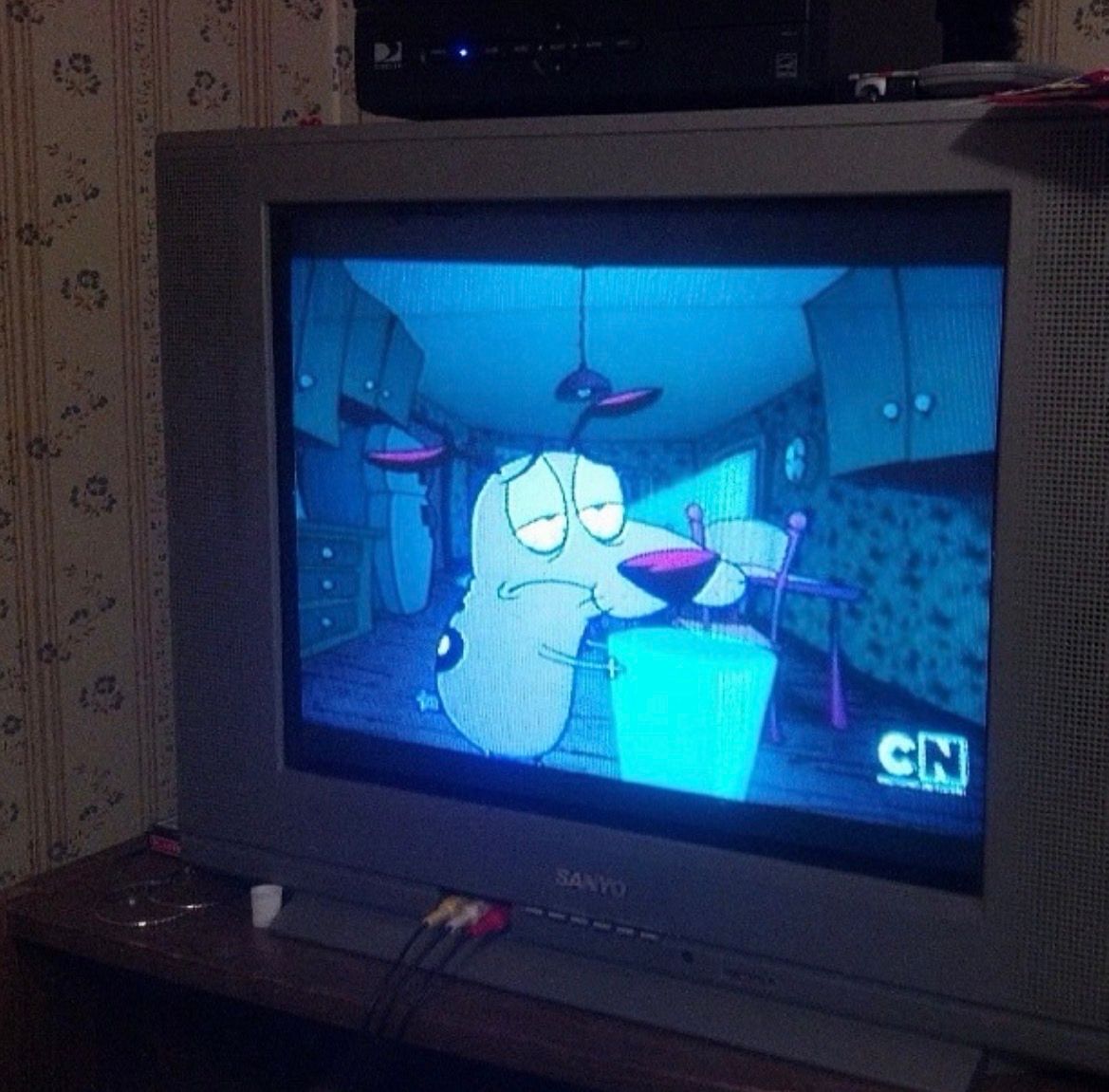 Courage the cowardly dog playing on a crt tv in the early 2000s