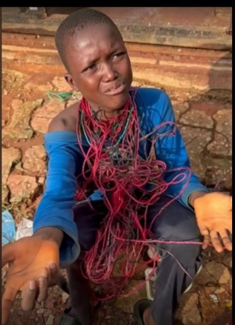 Timmy_Turner tweet media