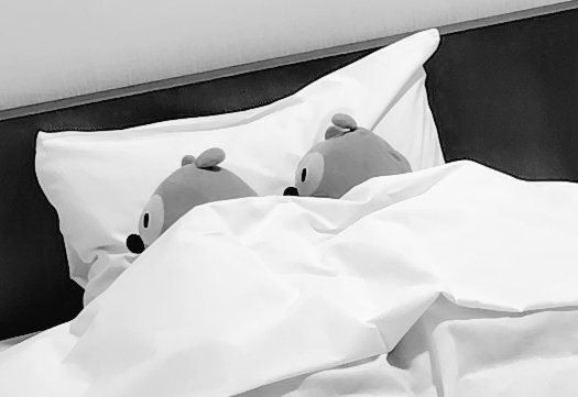 なまもの tweet media