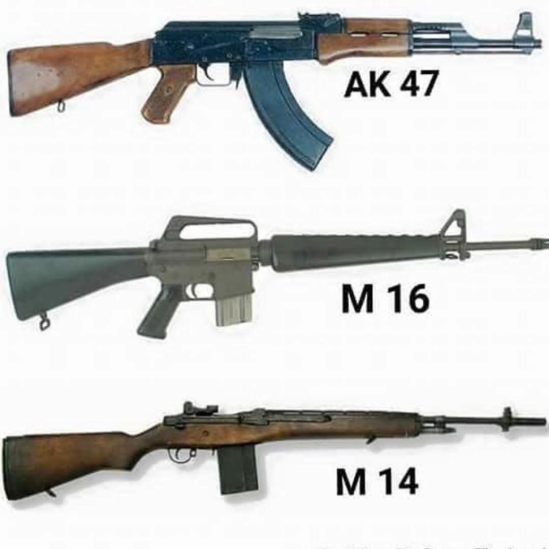 Firearm Fury tweet media