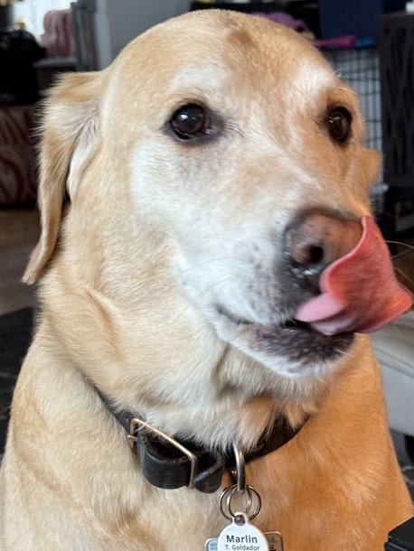 Marlin is a✨Ⴚ𝟬𝟬ᵭ 𝔹𝟬𐍅✨ tweet media