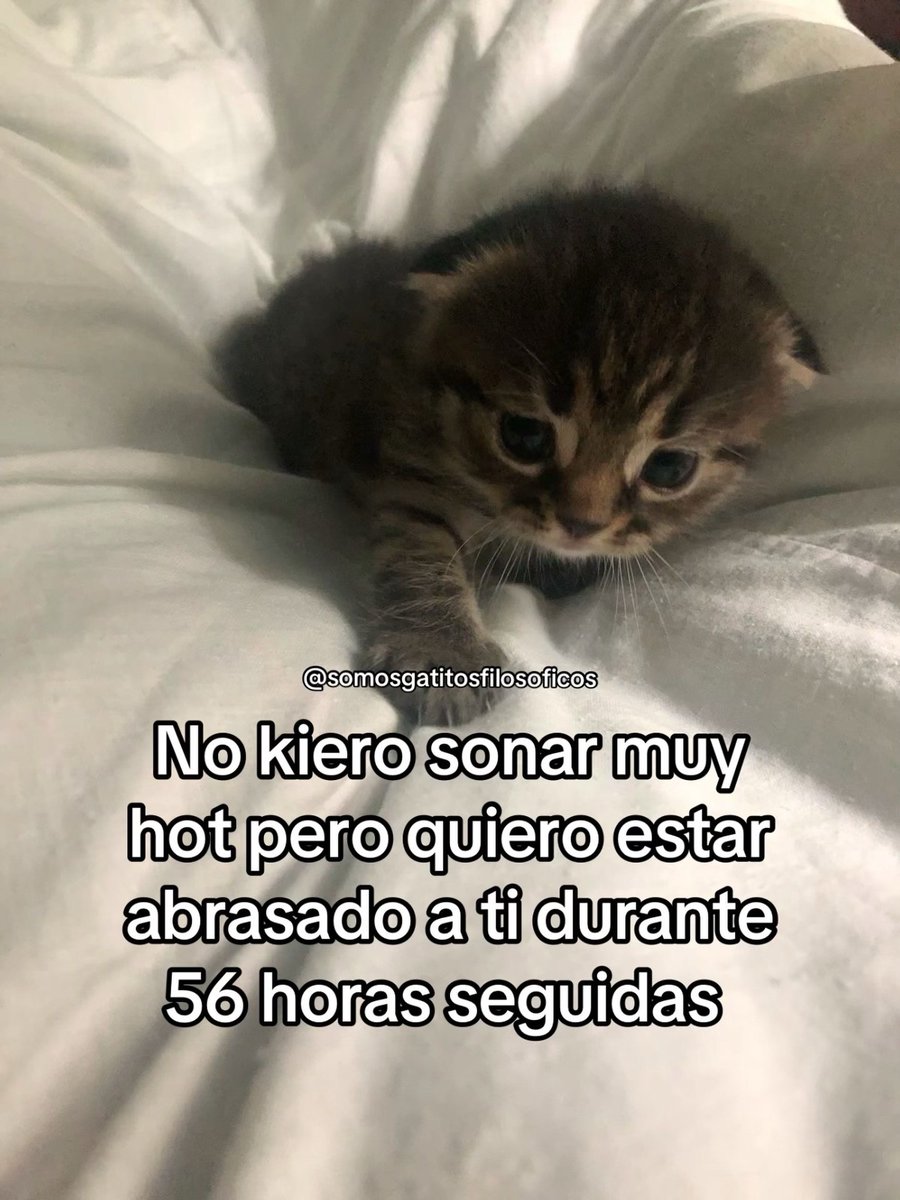 MundoDeBigotes's tweet photo. https://t.co/fKsJzd1Z3D