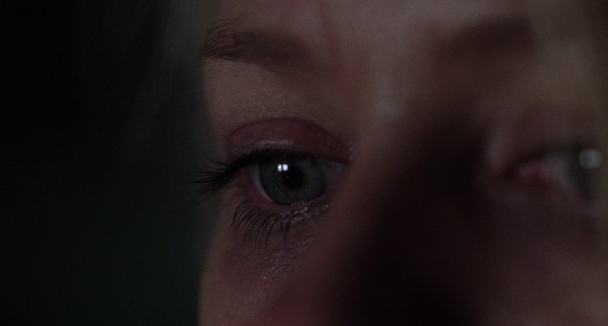 cinemariviera tweet media