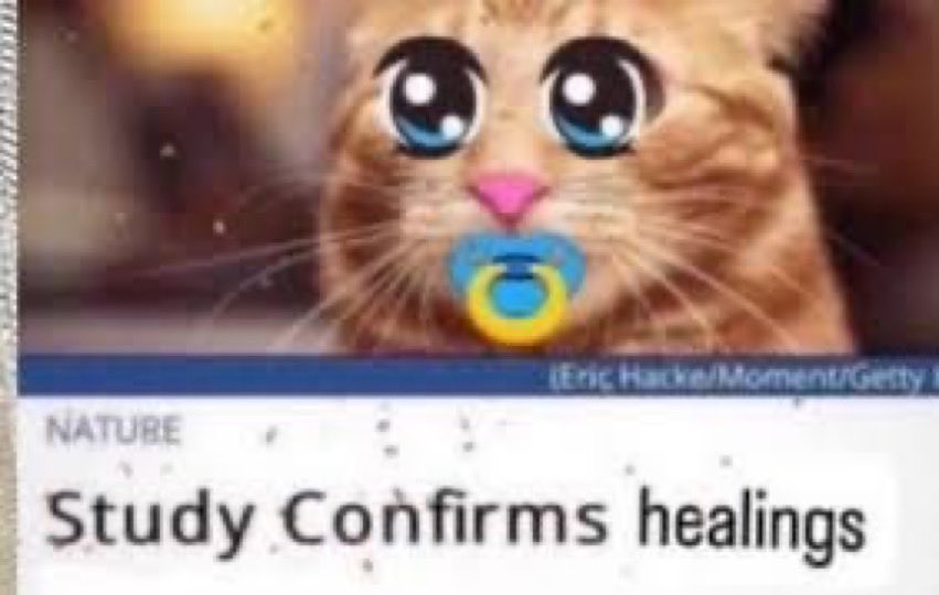 daft ponk tweet media