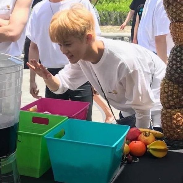 마이애미 마크는 진짜 다람쥐