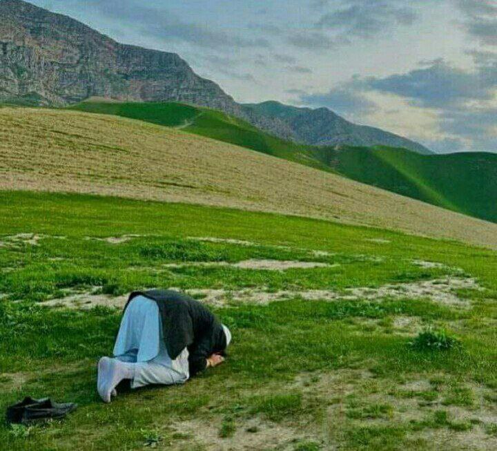 Mohamed Abdallah🇪🇬🇵🇸 tweet media