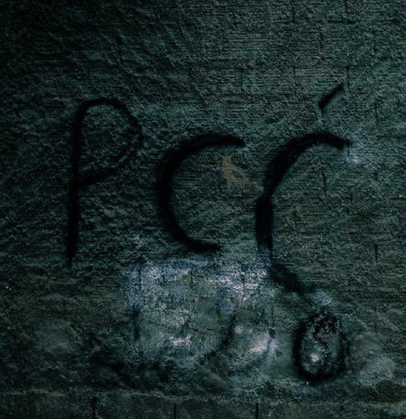 SPACE LIBERDADE  tweet media