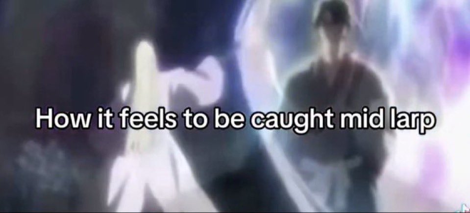 Phoenix's #1 Fan 🐦‍🔥 🇧🇷 tweet media