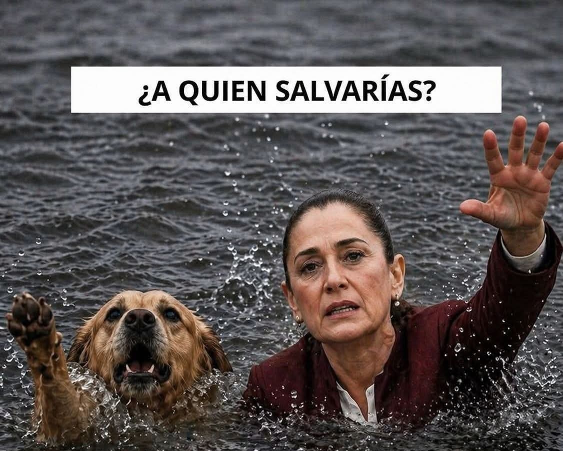 Citlali CarvajaI tweet media