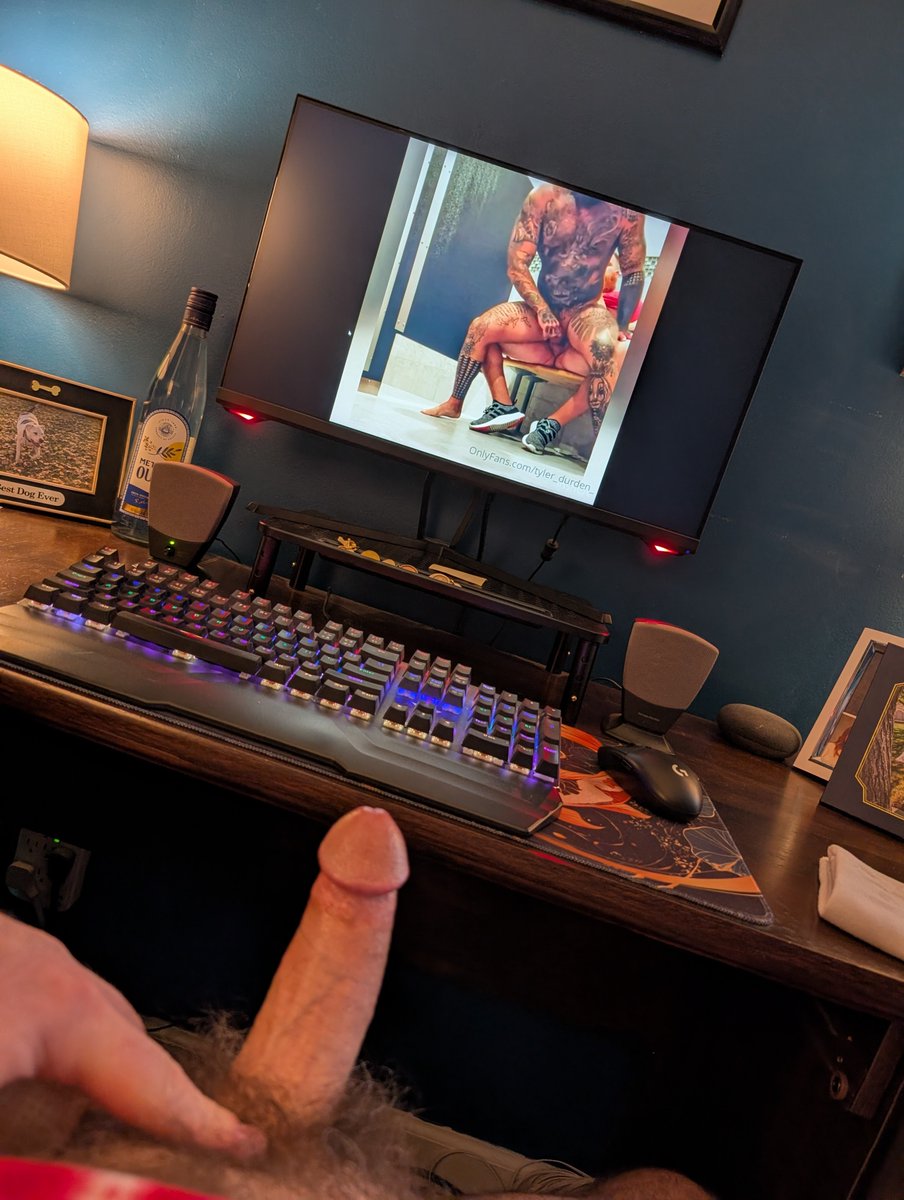 Papacat in Pocatello tweet media