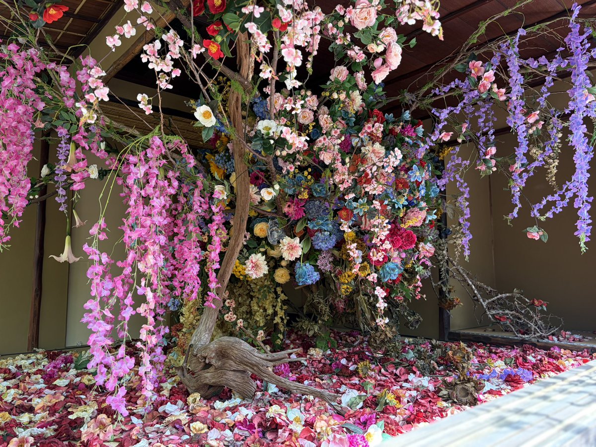 nomu2n's tweet photo. 蜷川実花さんの作品を見に京都へ
ついでにポケふた巡り https://t.co/3ls97dnR8D