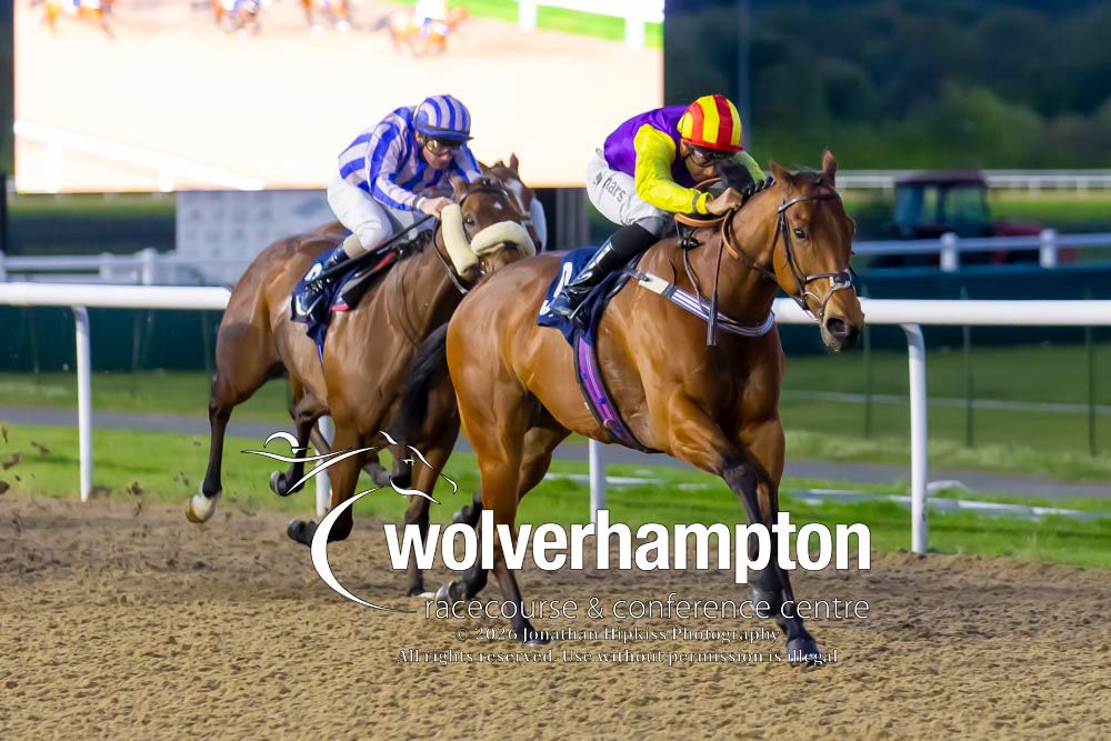 Wolverhampton Races tweet media