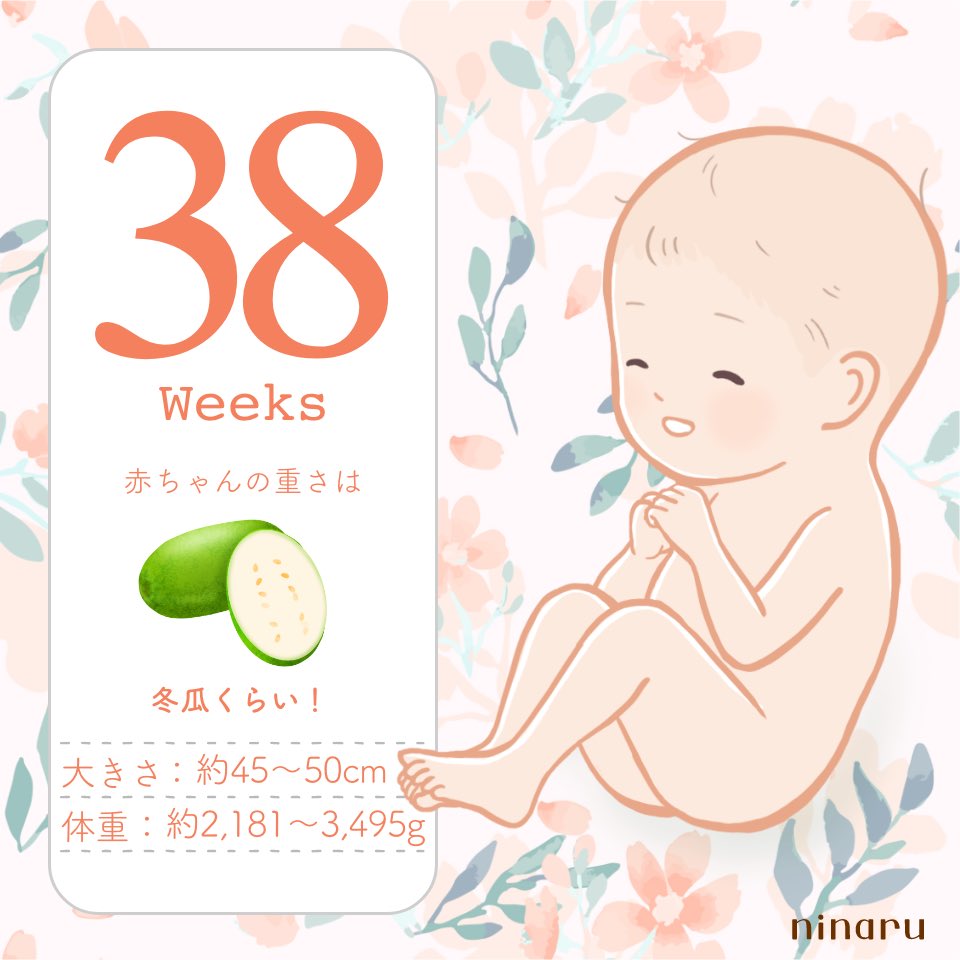 にん ☺︎38w tweet media