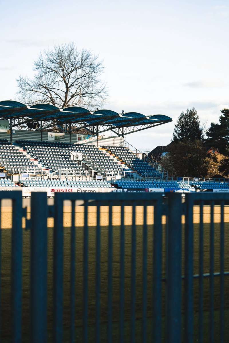 SK Dynamo ČB tweet media