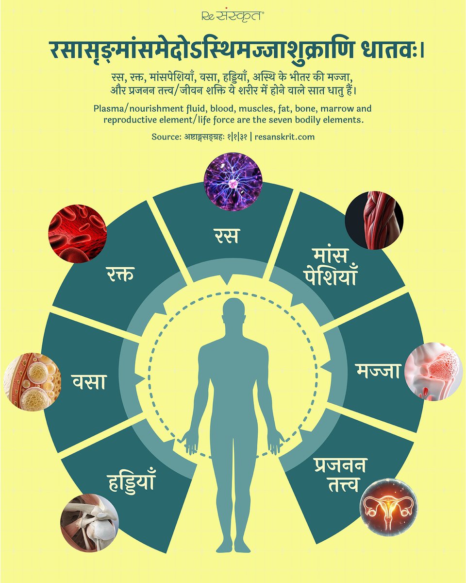 ReSanskrit's tweet image. According to Ayurveda, the body is sustained by seven dhātus - from nourishment to life force.
Health is nothing but their balance.
#Ayurveda #HealthWisdom #SanskritWisdom #HolisticHealth #ReSanskrit