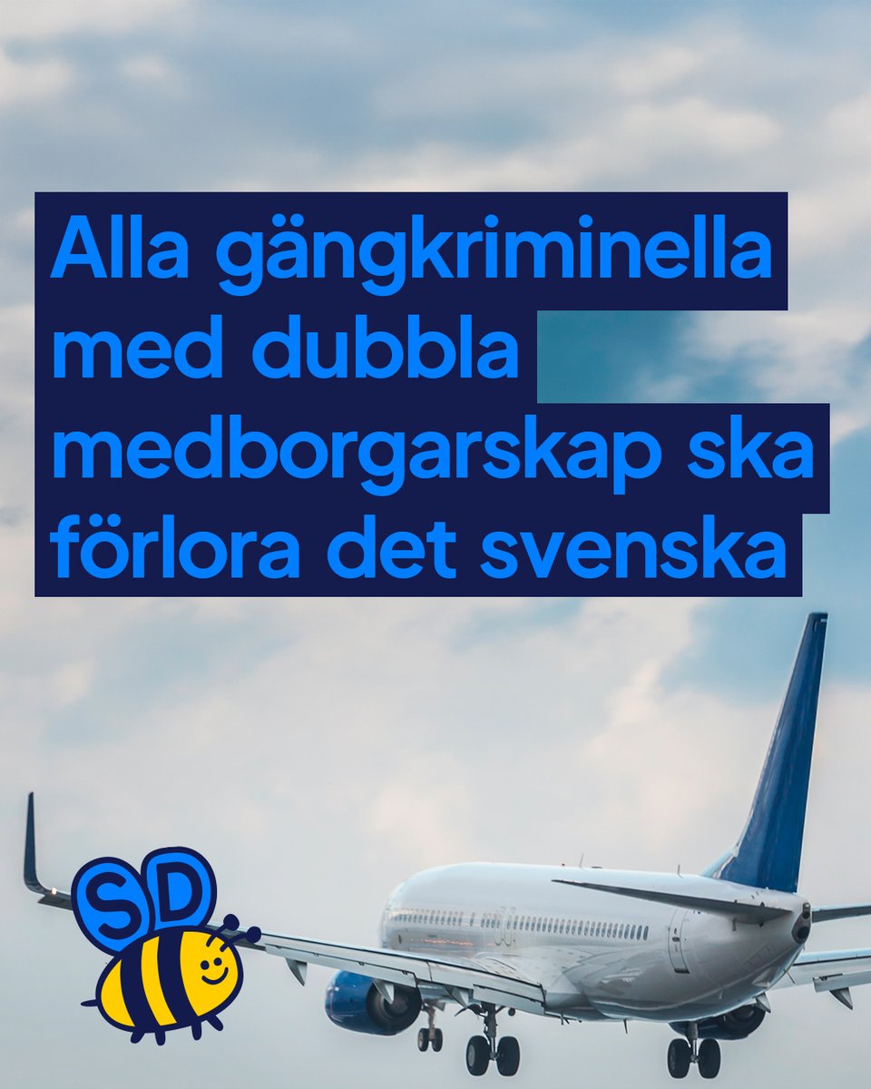 Sverigedemokraterna tweet media