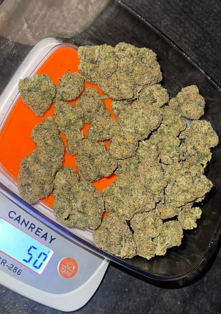 WeedInUAE's tweet image. AVailable good Quality in Qatar 🇶🇦 Dubai and 🇦🇪 Kuwait 🇰🇼 full discount for new customers 
WhatsApp contact +923035399879
#Dubai 
#Sharjah 
#CHANELCruise 
#Ajmon 
#Qatar