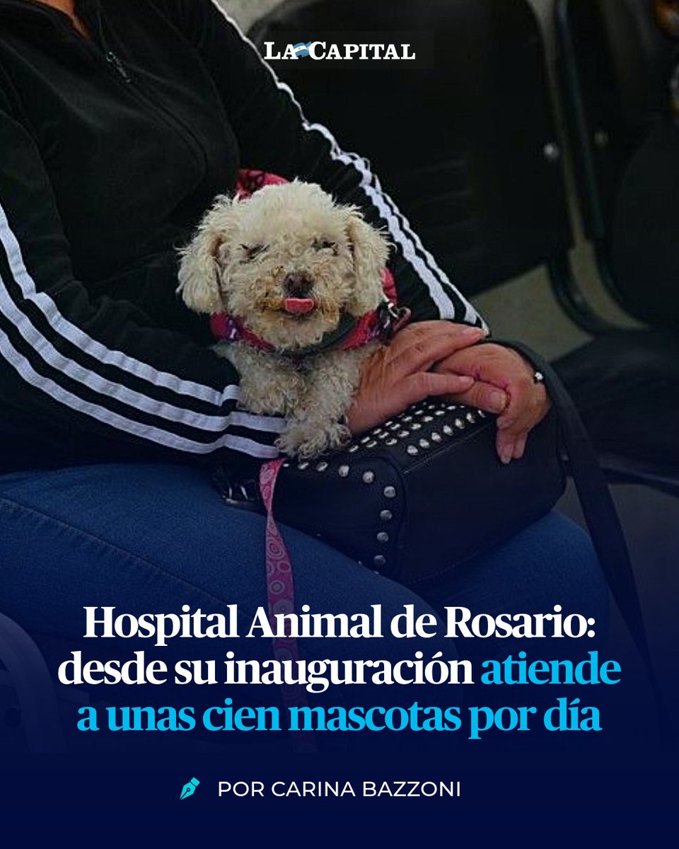 Diario La Capital tweet media