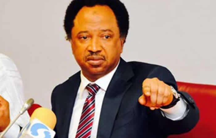 Comrade Shehu Sani Media Centre tweet media