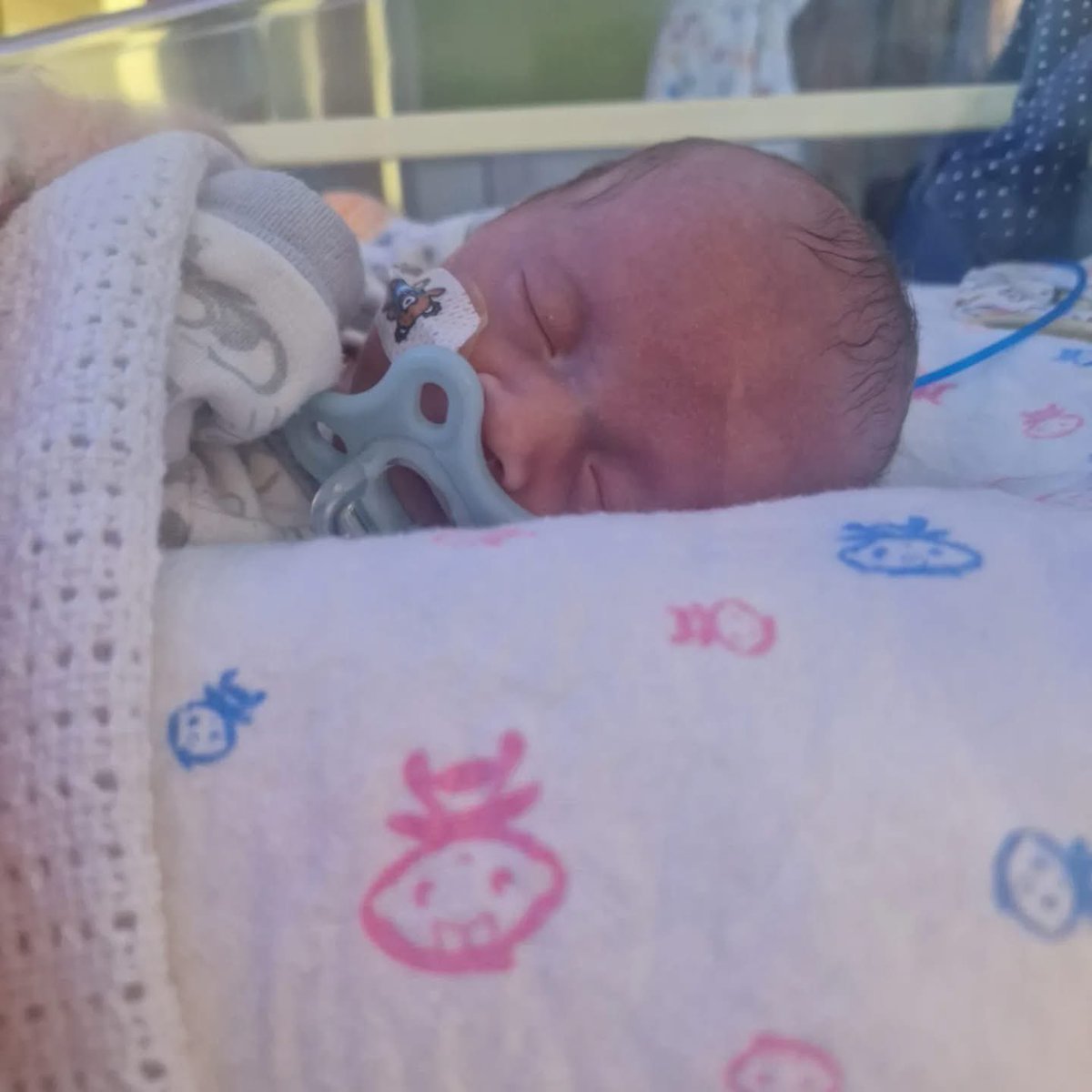 karen thompson tweet media