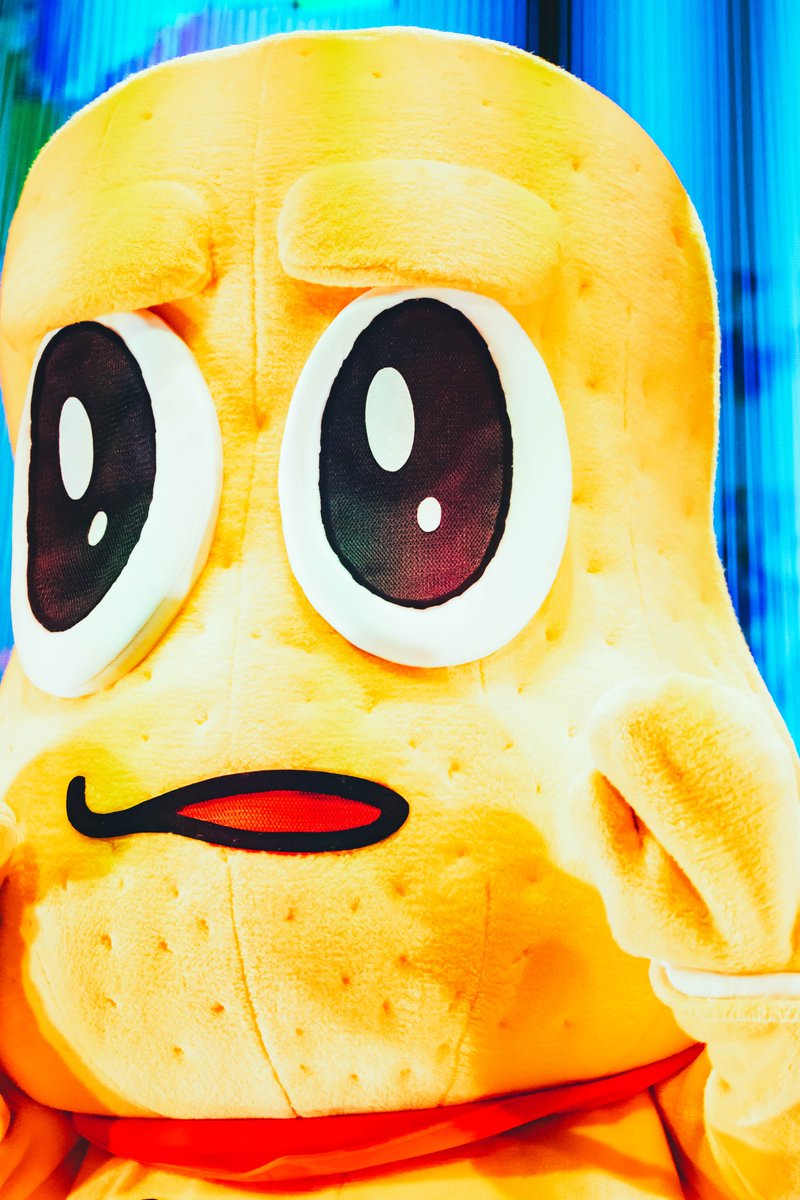 ライブナタリー tweet media