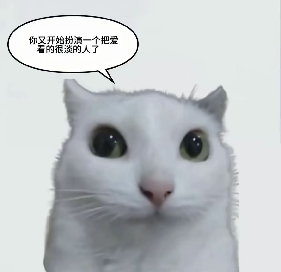 夜半歌声 tweet media