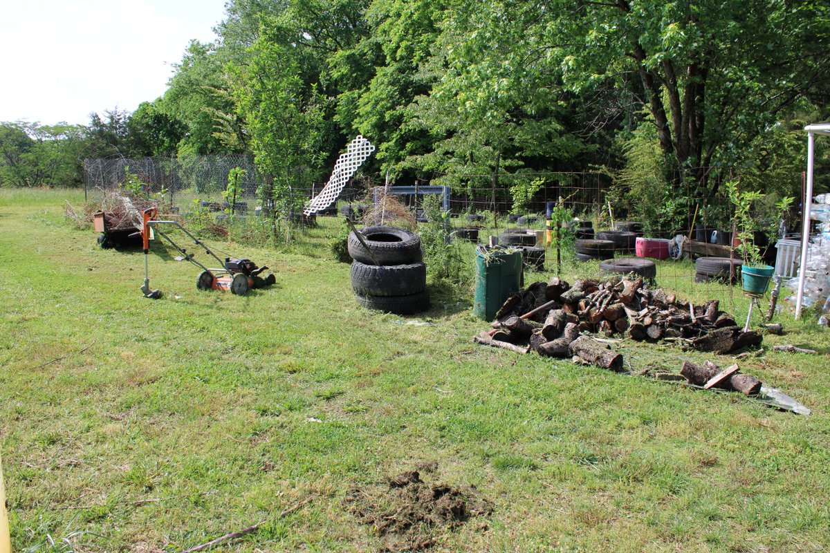 docsanderson's tweet image. #Scientists #Carpenter #RestorationProject #Wolves #Mates @NatGeo @danpeckwx @HeartsofHeroes_
@Nature G Mags Lizzie got a break from the rain. worked on #Safety for #Garden entrance was cluttered , wood pile growing up. invitation to snakes. dont want snakes. Love you Mwah Lee