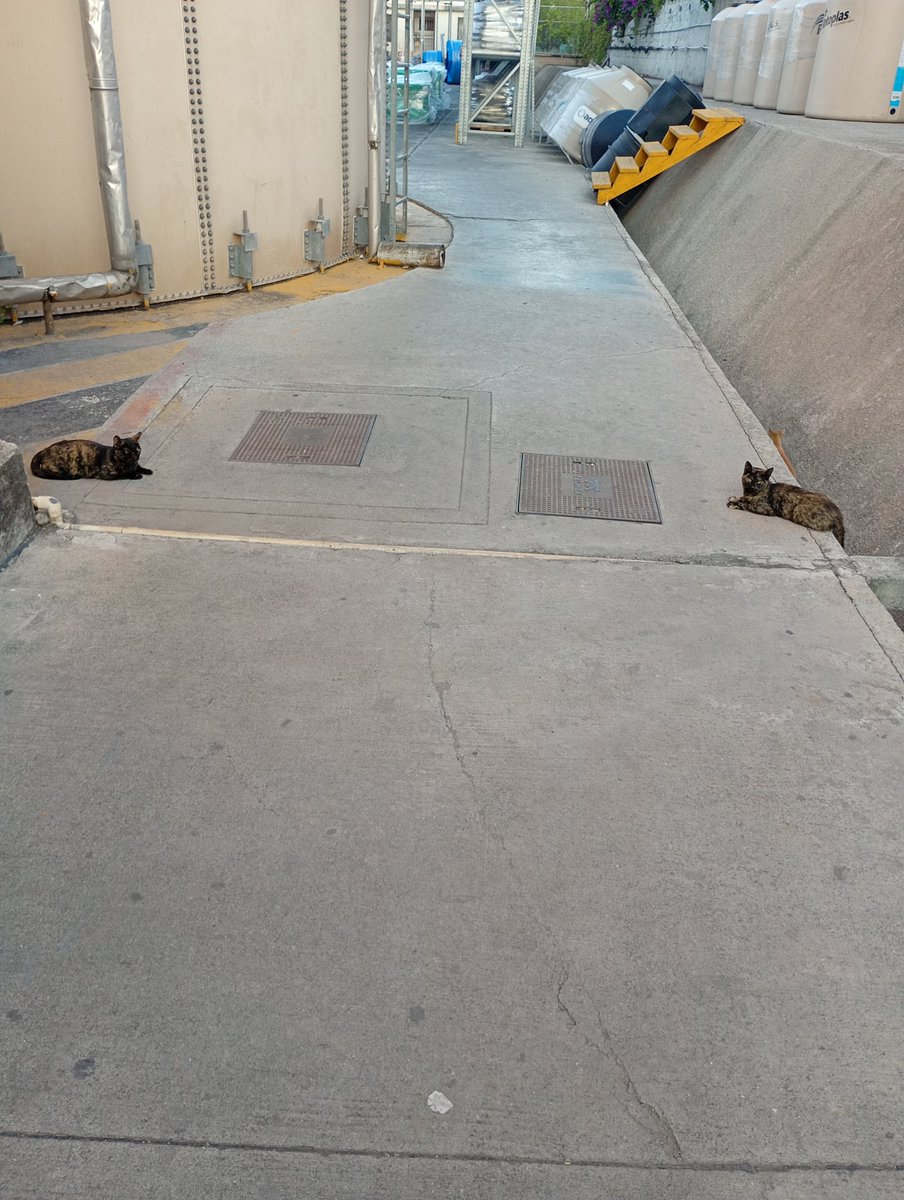 LeonDMau's tweet photo. @lanbisalya Los guardias de seguridad de mi trabajo https://t.co/ZyDlo4L9N8