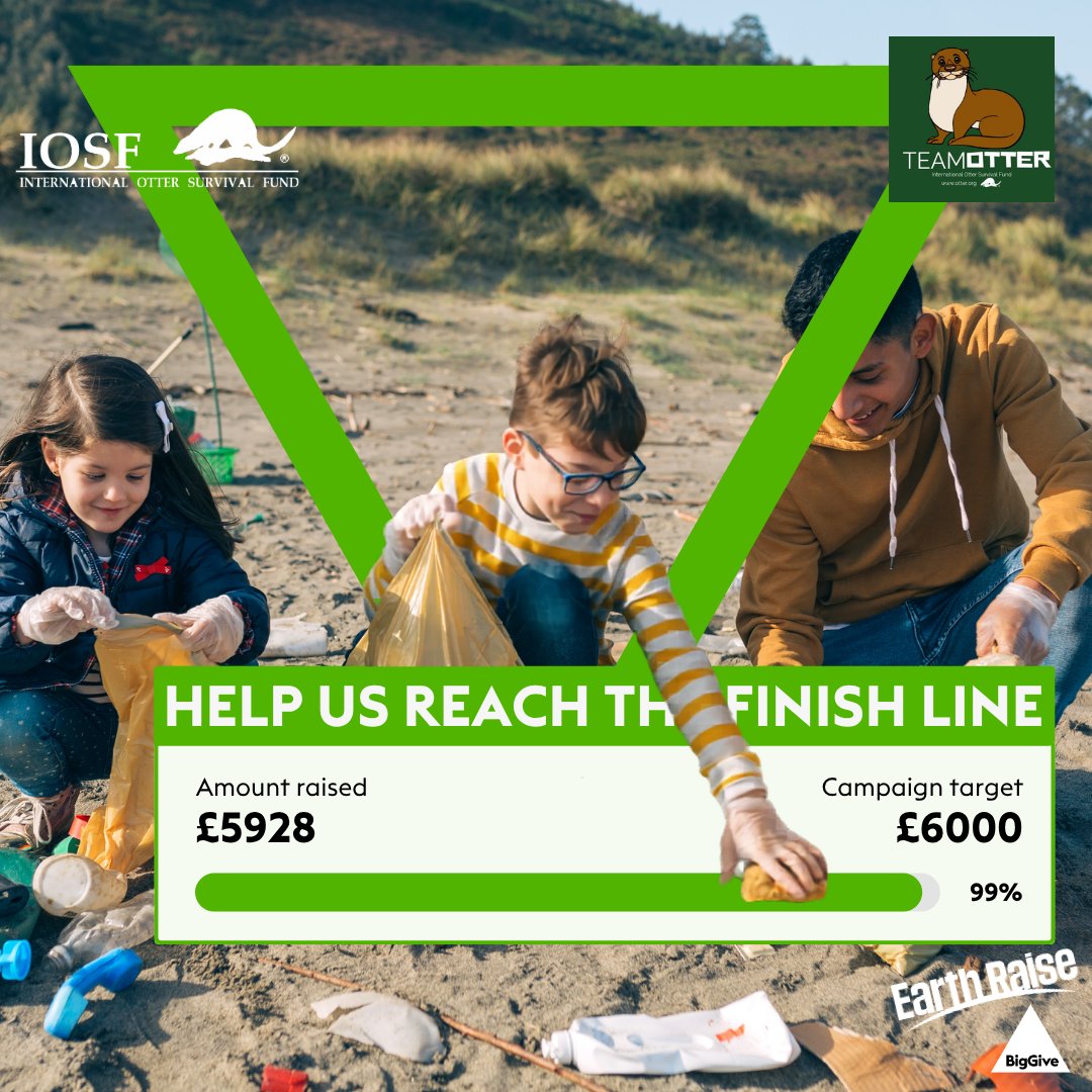 International Otter Survival Fund (IOSF) tweet media