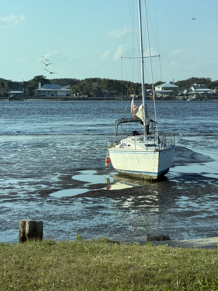 Sean Ray tweet media