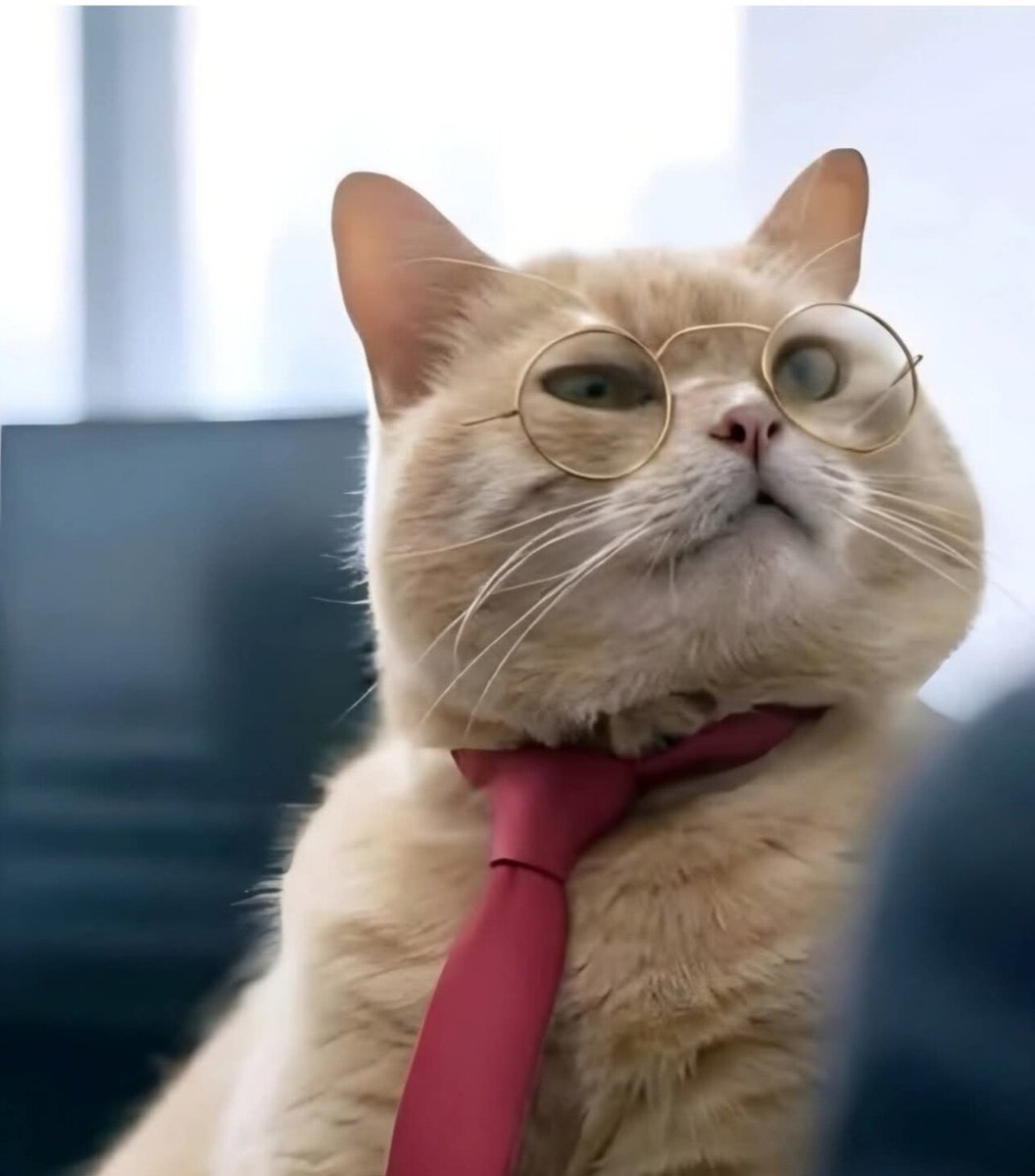 Archie K tweet media