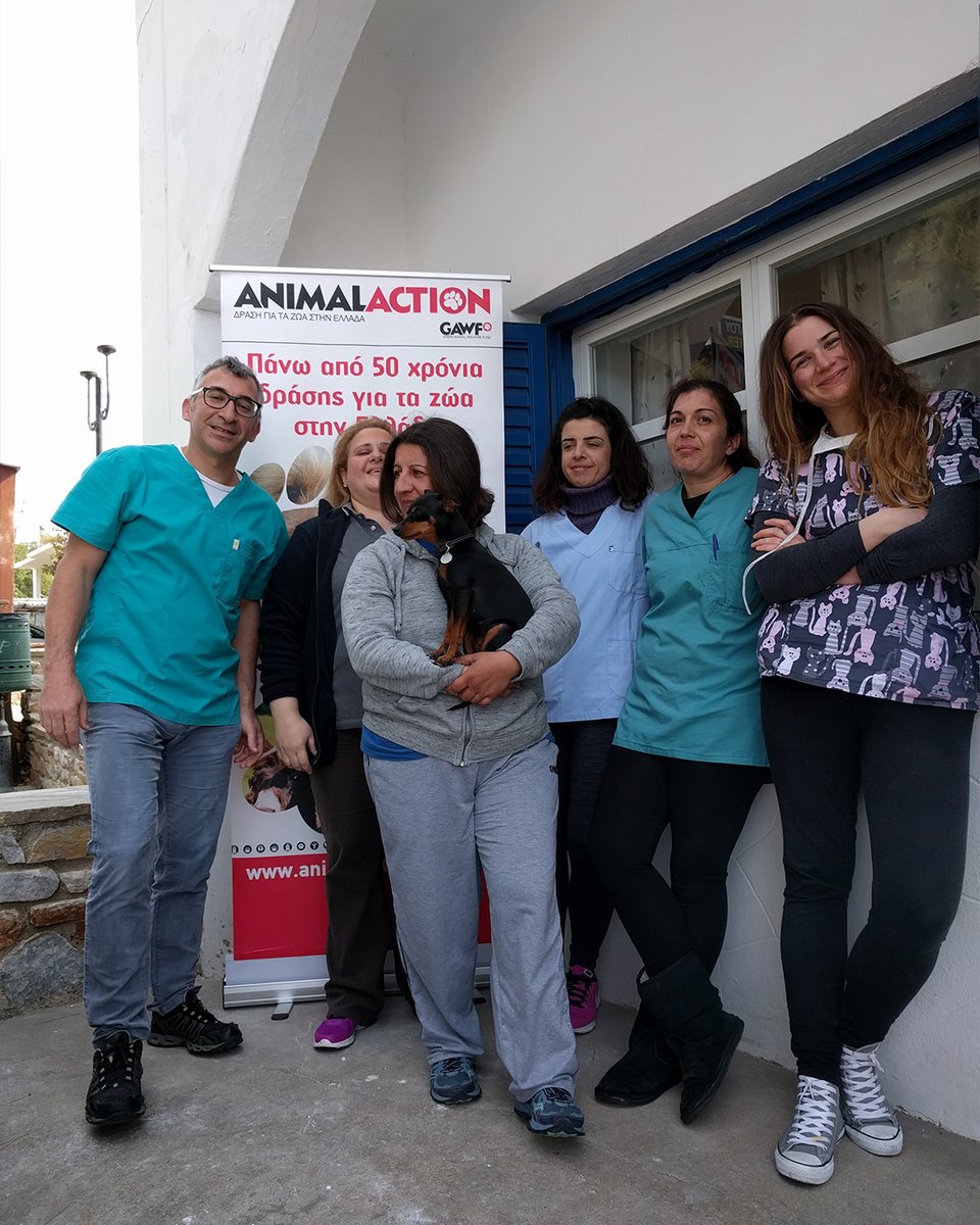 Animal Action Greece tweet media