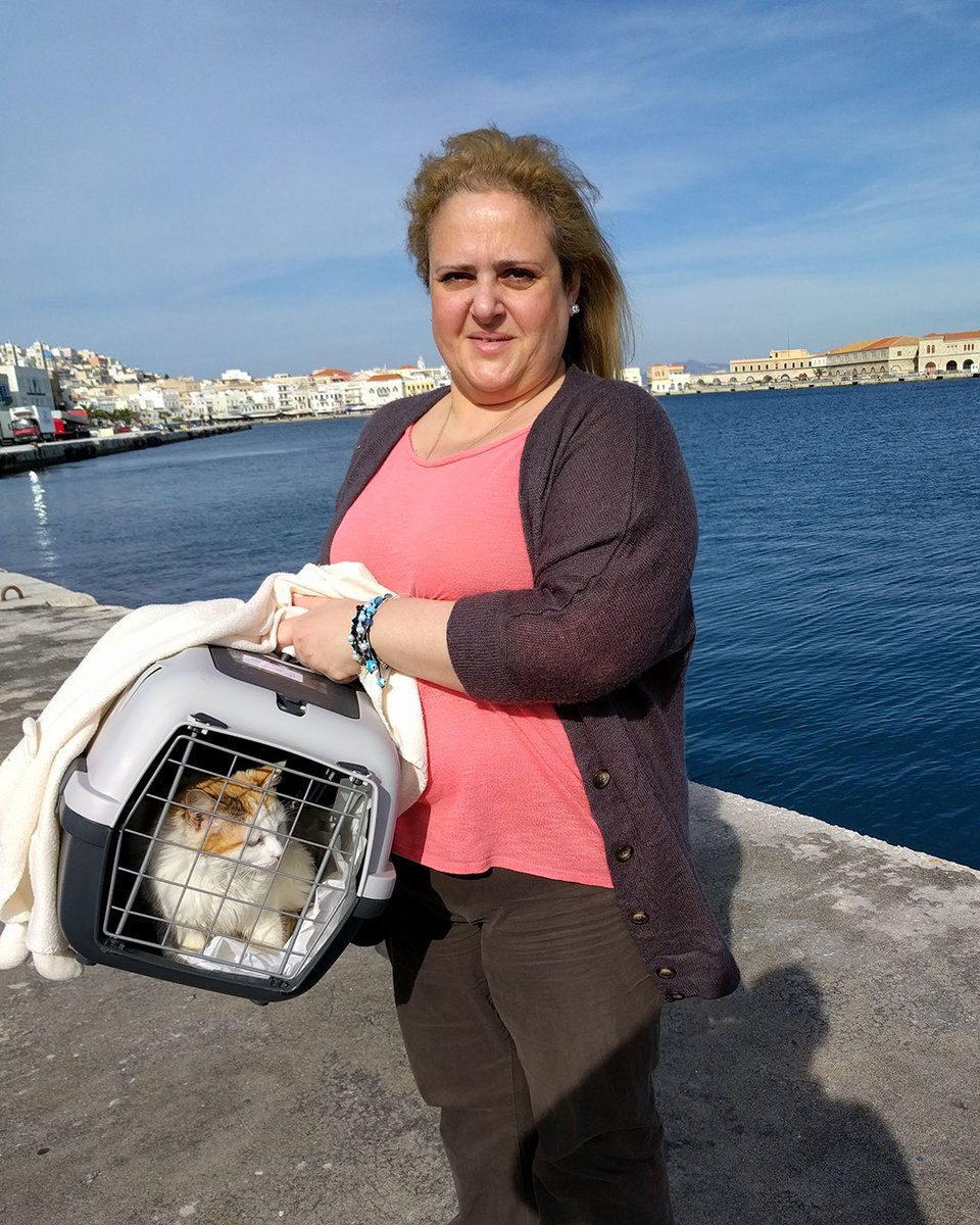 Animal Action Greece tweet media