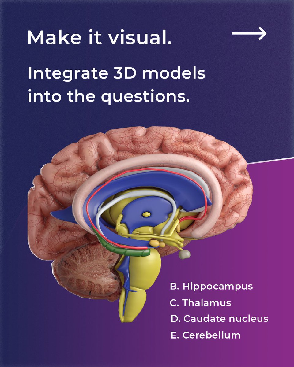 3D Organon tweet media