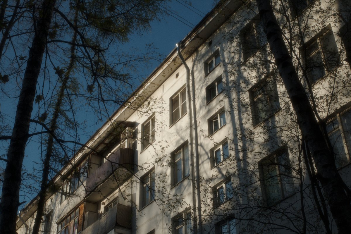 defocusd tweet media