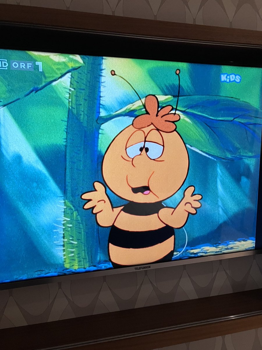 kaffee_jause's tweet image. マーヤとホテルからの景色
日本で見てたアニメ
って来るたびにマーヤ見るんだけど、何年放送してるの？

2026.4.19
#austria #Salzburg #ザルツブルク