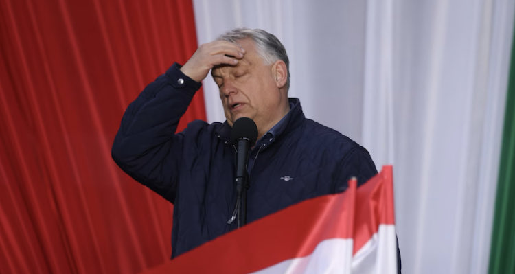 Joni Askola tweet media