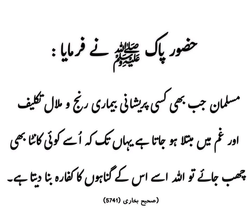 Sadia Rajpoot ⚡ tweet media