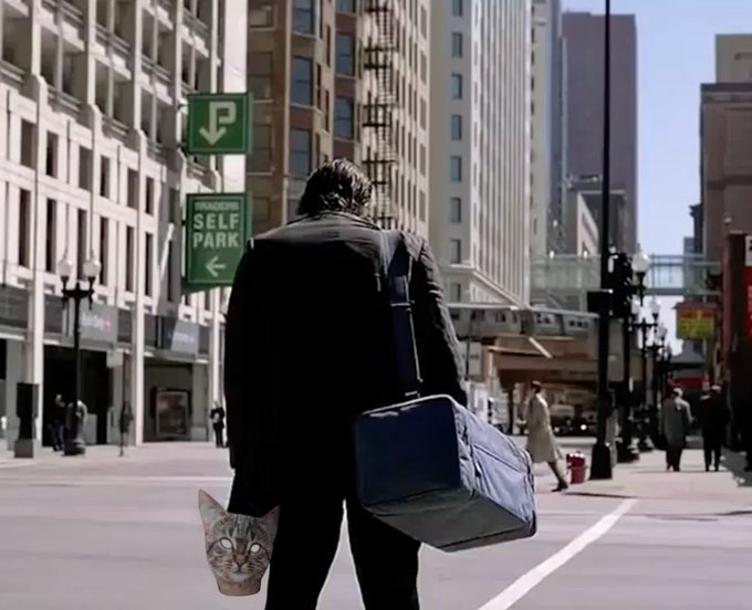 Dumb Money tweet media