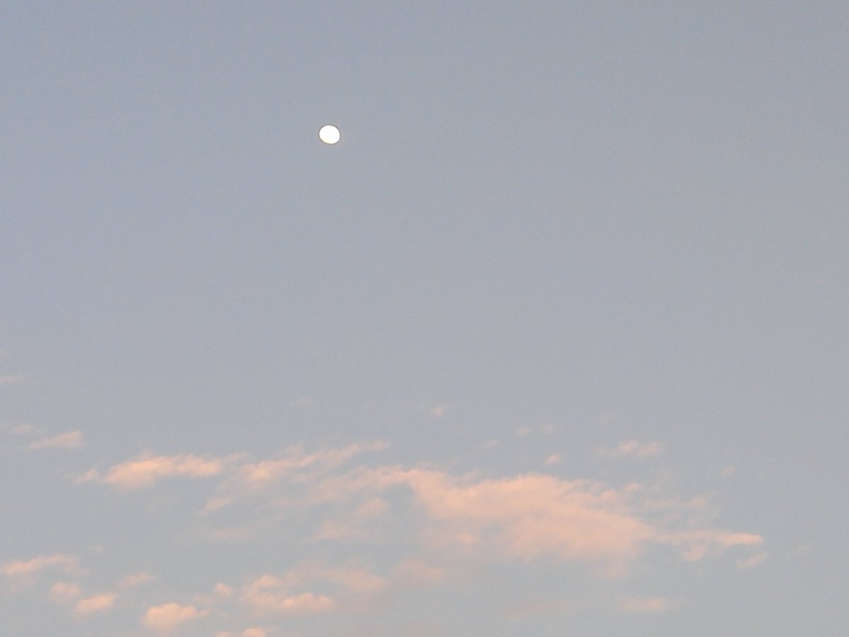 هبة سليمان tweet media