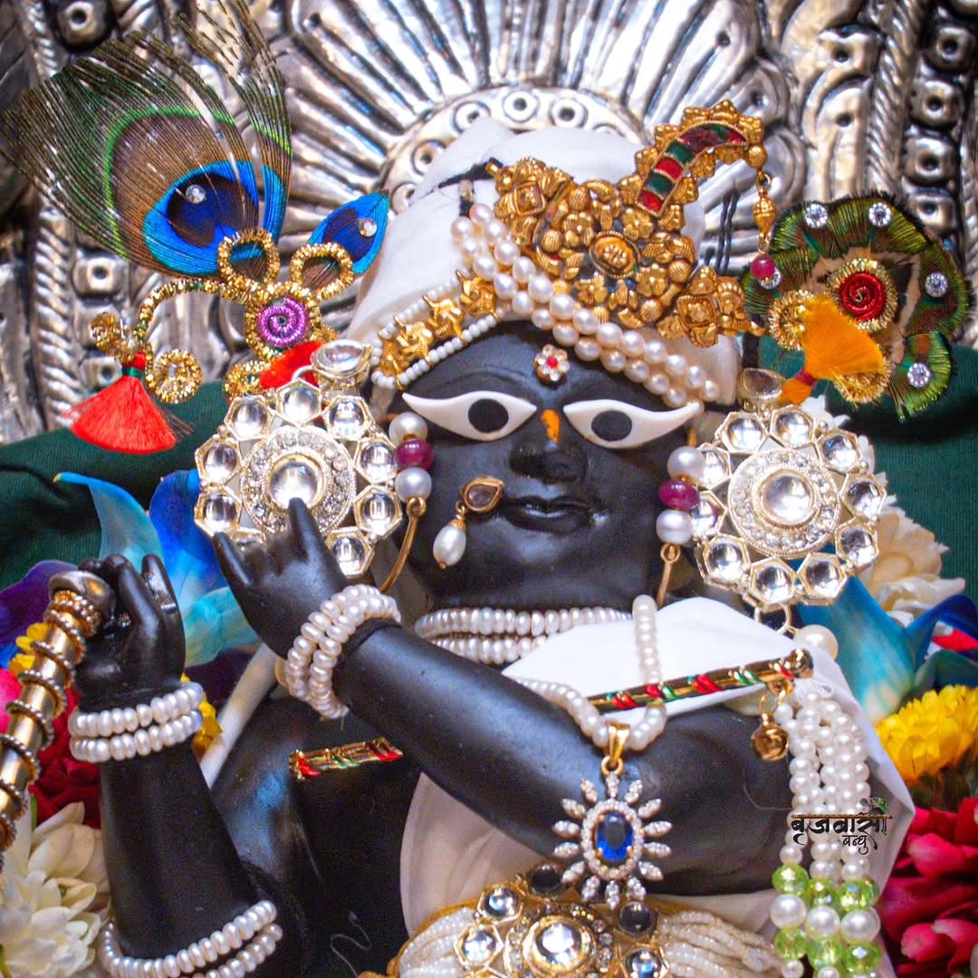 ठाकुर श्री राधारमण लाल जू 🦚