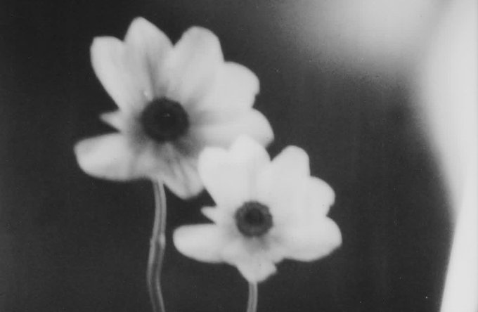 Ariana World HQ ☀️ tweet media