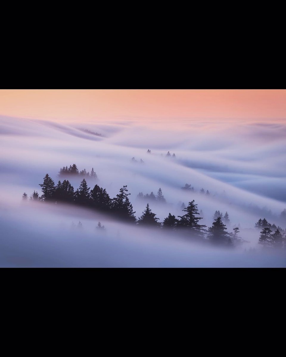 A gentle, balanced life emerges from unhurried steps and a tranquil mind.