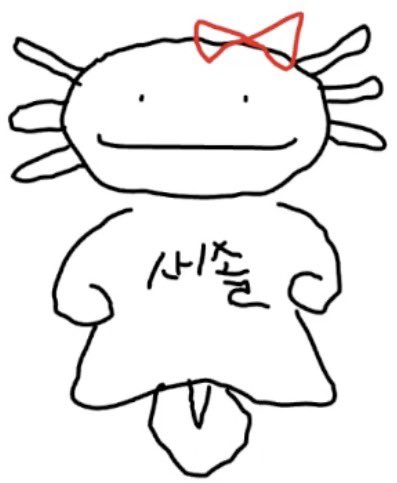 새솔 tweet media