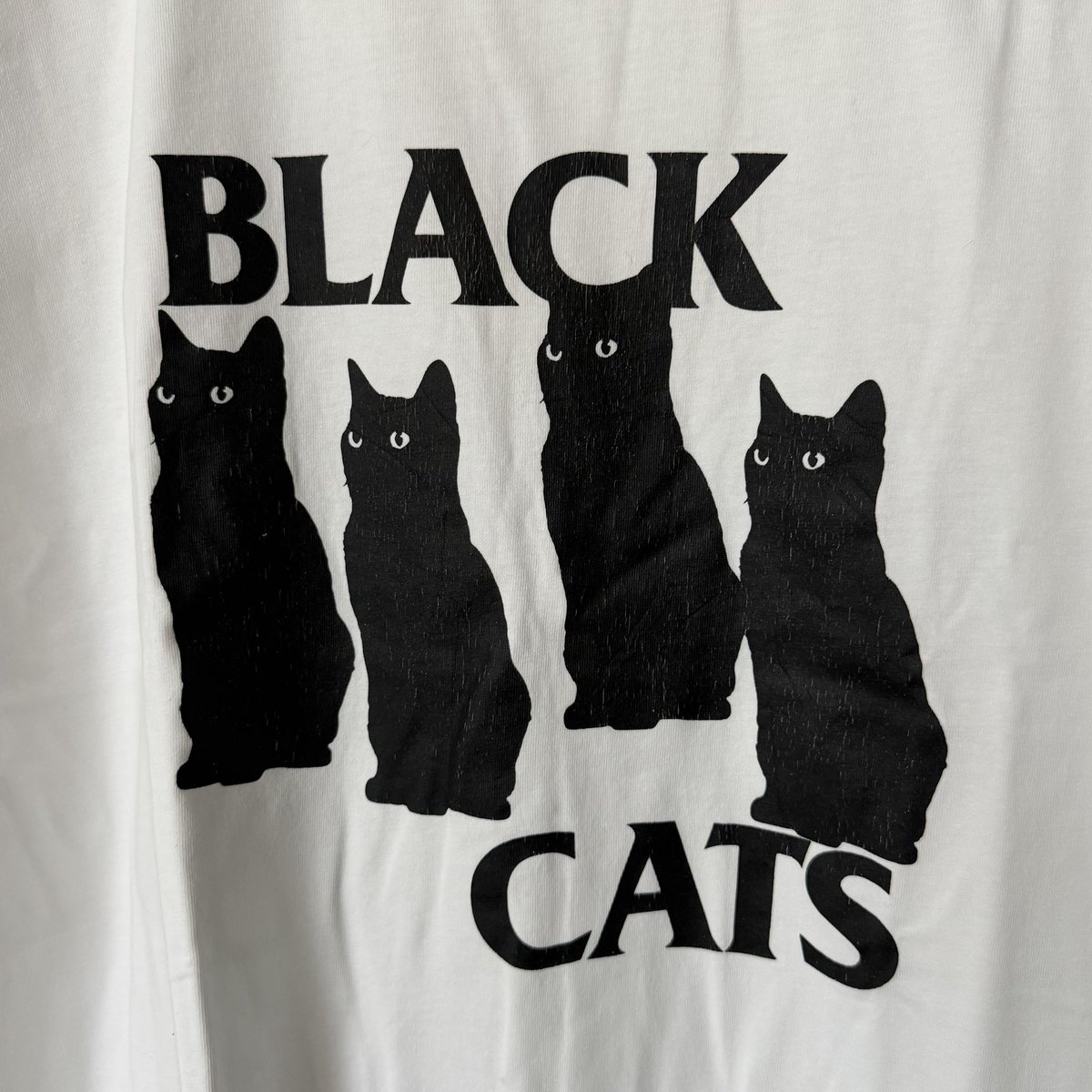 doublep.studio tweet media