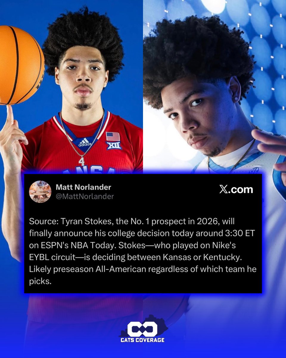 Cats Coverage tweet media
