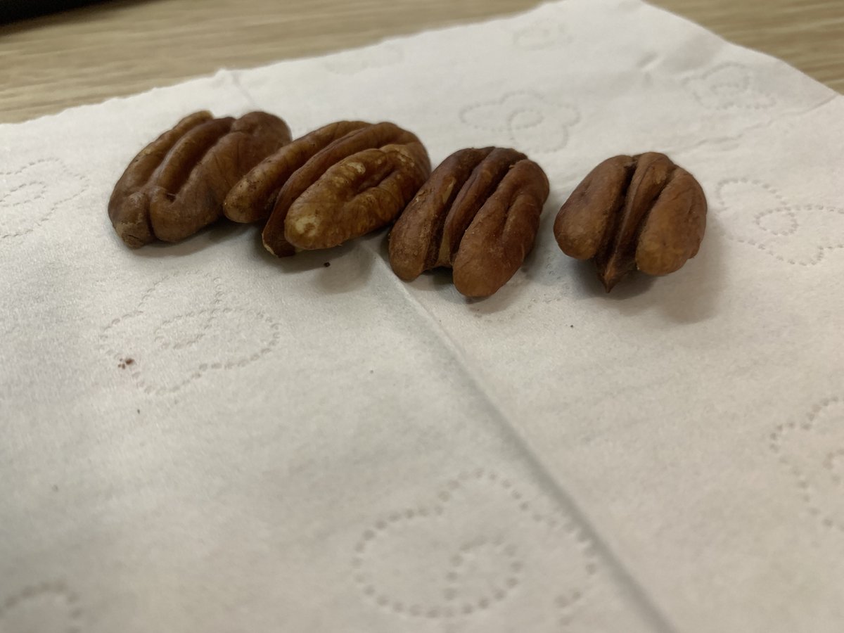 芝士二明治🥪 tweet media